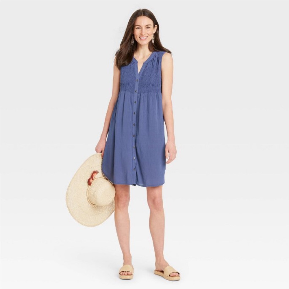 Target Sleeveless Blue Button-Front Sundress